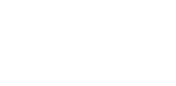 AOL Logo